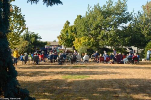 Music in the Park